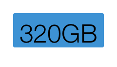 320GB