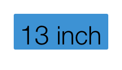 13 inch