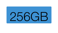 256GB